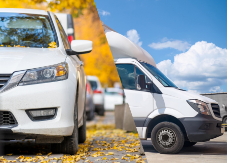 Uniwersalność zastosowania
