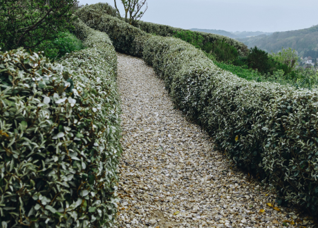Uniwersalność zastosowań
