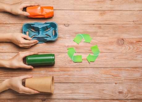 Ekologia i odpowiedzialność