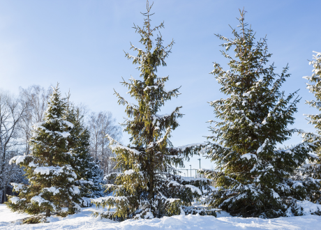 Najwyższa jakość materiału
