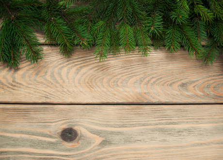 Estetyka i możliwości aranżacyjne
