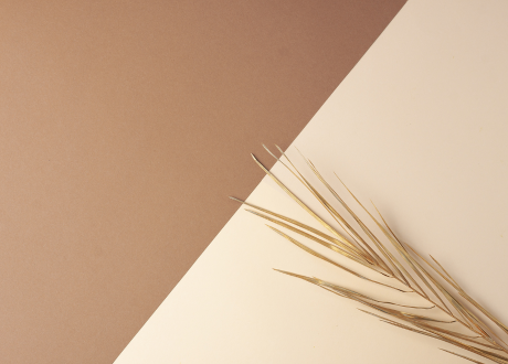 Nowoczesna, jasna estetyka