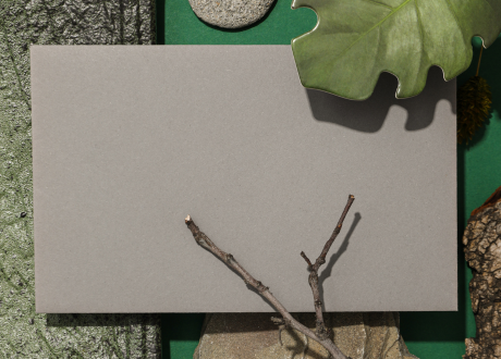 Uniwersalny szary design