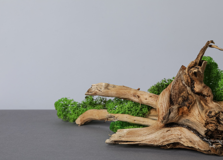 Uniwersalny szary design