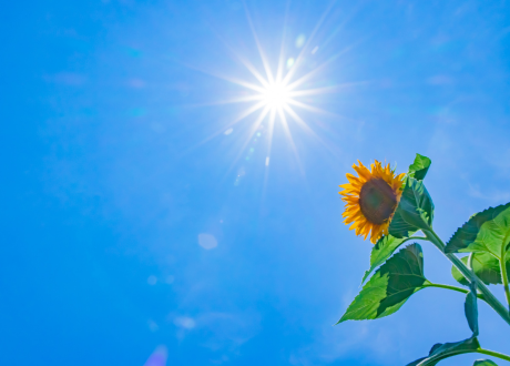 Ochrona na najwyższym poziomie 