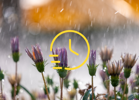 Intuicyjna i bezproblemowa obsługa