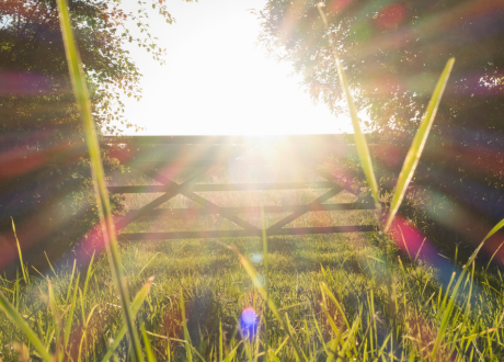 Odporność na warunki atmosferyczne