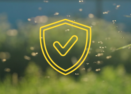 Ochrona przed owadami