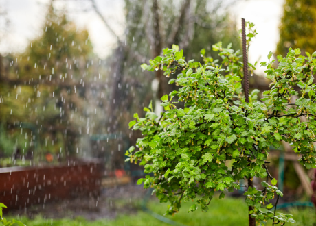 Odporność na czynniki zewnętrzne
