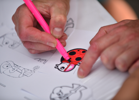 Kolorowy motyw biedronki