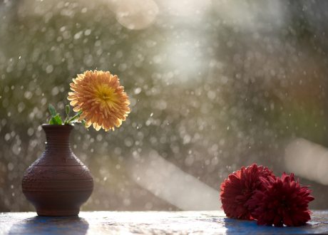 Odporność na warunki atmosferyczne