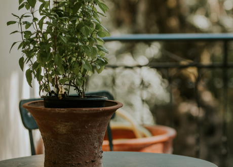 Idealny do małych przestrzeni